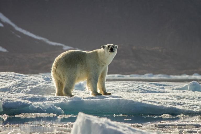 ours